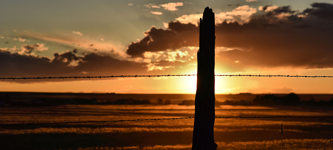 barbed wire fence at sunset