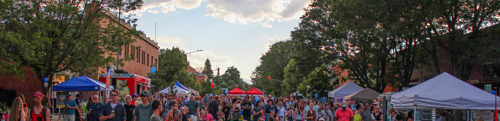 photo of outdoor concert