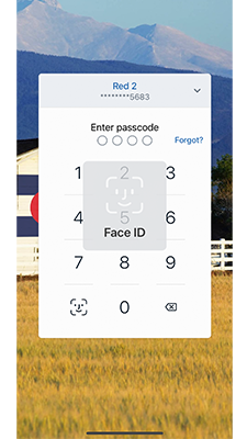 HPBGO biometric login screenshot