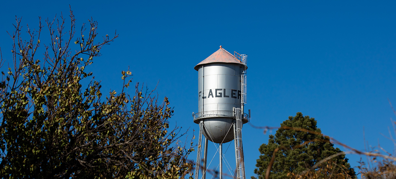 Flagler water dower