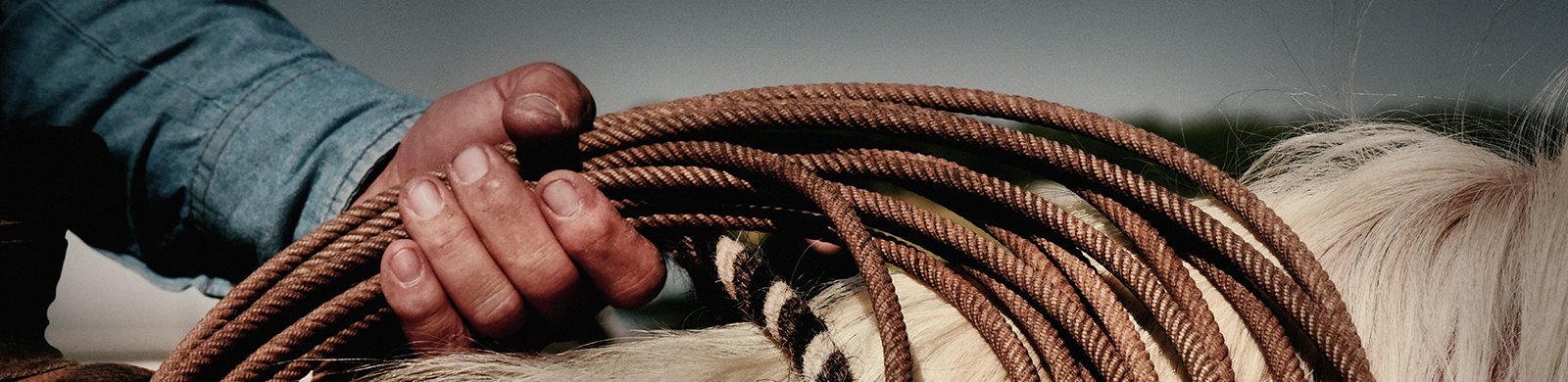 rope on a horse