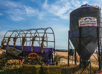 Photo of wagon and grain silo 