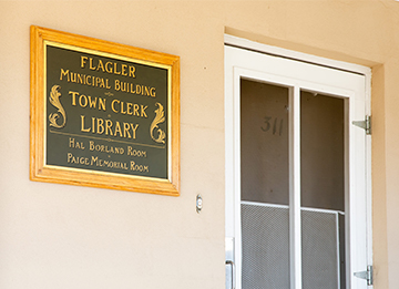 photo of Flagler library