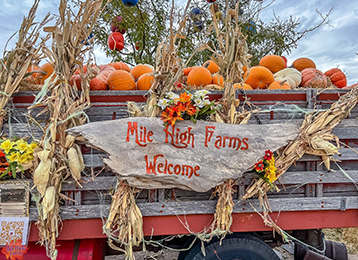 photo of wagon with pumpkins