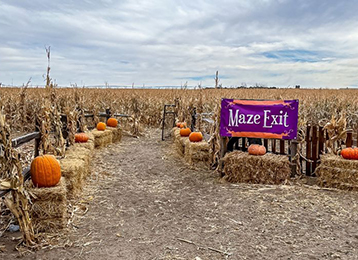 photo of corn maze entry