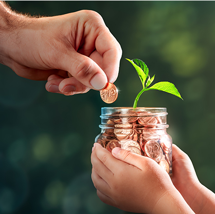 putting penny in a jar with plant growing