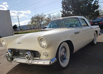 Photo of a cream colored thunderbird