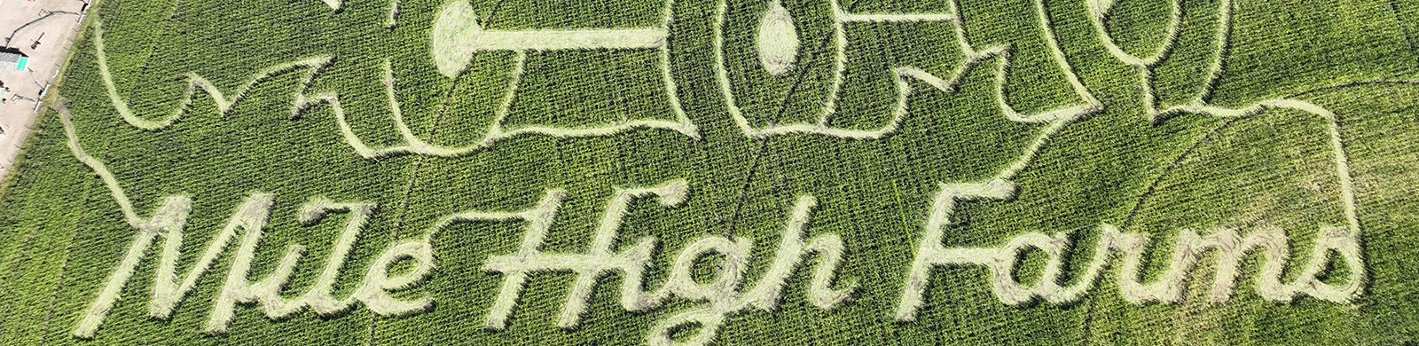 aerial photo of Mile High Farms corn maze