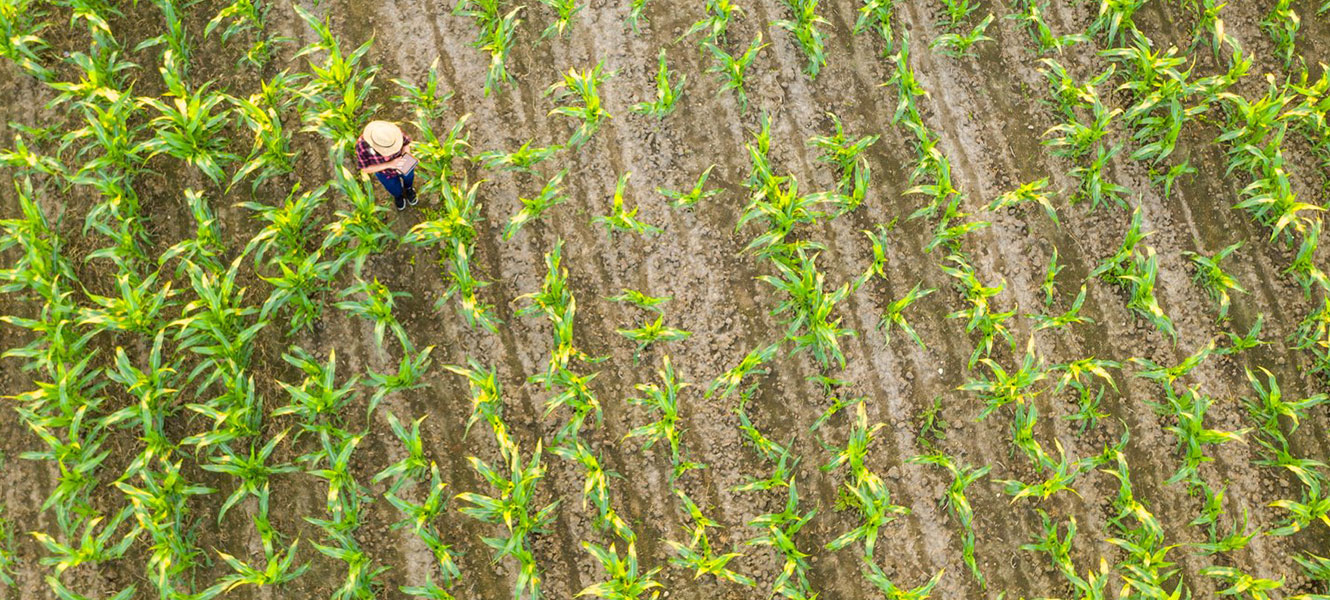 drone photo of person in field