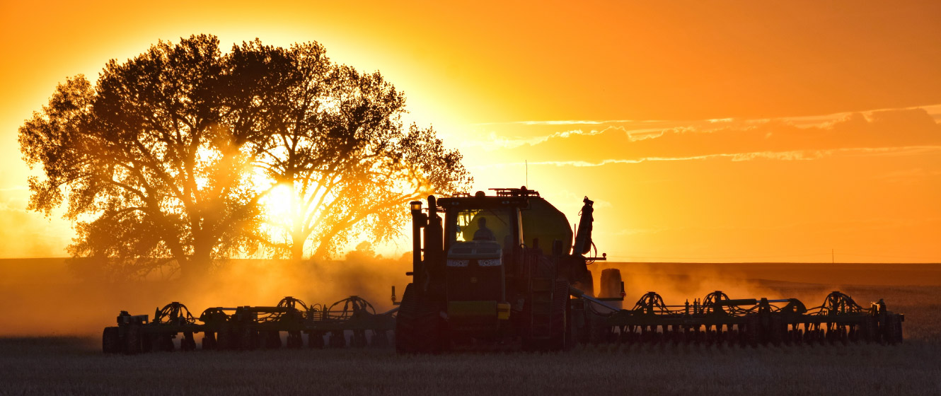 planting farm seed as sunset