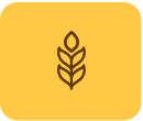 wheat icon