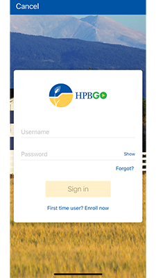 HPBGO login screen