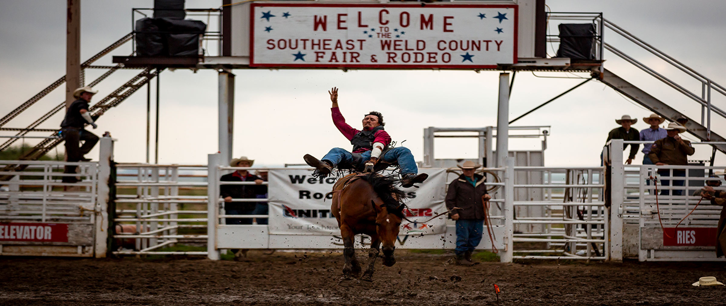 photo of rodeo bronc riding